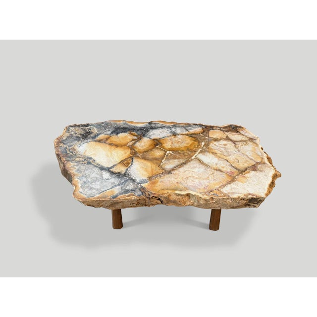 Andrianna Shamaris Beautiful Rare Petrified Wood Coffee Table For Sale - Image 4 of 18