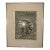 1970s Joann Walworth Turner "Butterfly in Search" Signed Hand-Colored Etching, Edition 3/100, Framed Under Glass, 30x25 For Sale