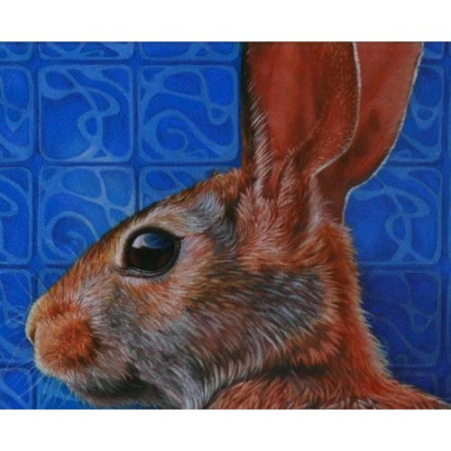 This wild rabbit strikes me as being clever and playful, although it is having a contemplative moment right now. The wide...