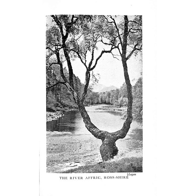 "A Book of Scotland" 1960 Maine, g.f. [Edited By] For Sale In New York - Image 6 of 8