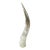 1990s Lucite Mounted Steer Horn For Sale