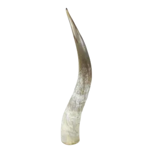 1990s Lucite Mounted Steer Horn