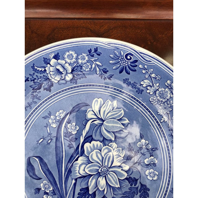 Large Spode Blue Room Collection Botanical Plate/Platter Chairish