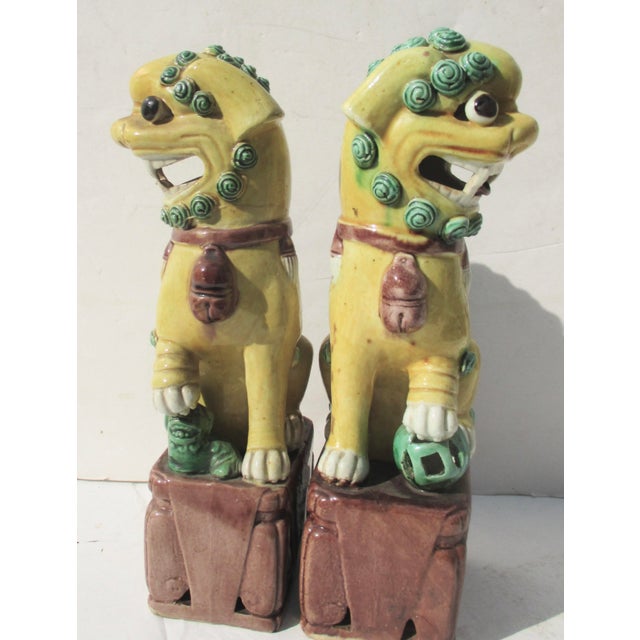 Chinese Antique Chinese Porcelain Sanci Glaze Foo Dogs - A Pair of 2 For Sale - Image 3 of 6
