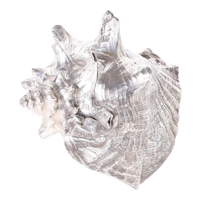 Silvered Metal Plated Seashell For Sale