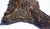 Metal Irish Setter Bronze Dog Sculpture For Sale - Image 7 of 7