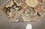 Antique Zabihi Collection Narrow Persian Tribal Runner - 2'3" x 8'8" For Sale - Image 4 of 11