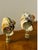 Gorgeous pair of brown mother of pearl polished turbo sea shells on bronze bases as lamp finials.
