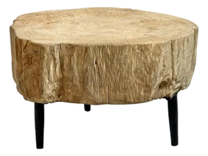 Organic Modern Vintage Raw Stump Low Table