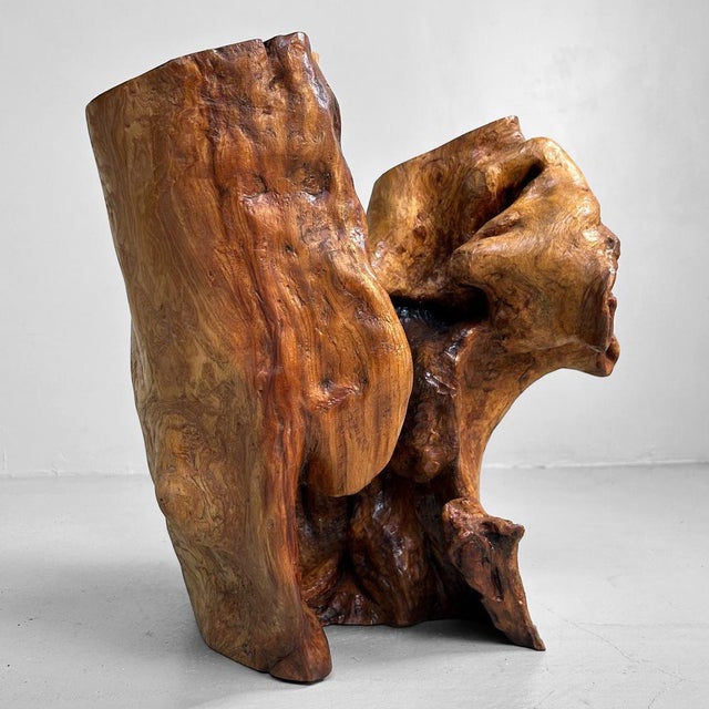 Japanese Tsuge Burl Wood Sculpture, 1920s For Sale - Image 14 of 18