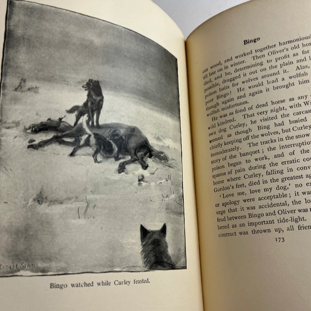 Paper 1902 Wild Animals I Have Known Book For Sale - Image 7 of 13