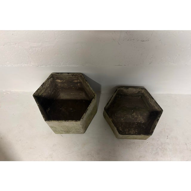 Willy Guhl Style Planters, Set of Two For Sale - Image 6 of 7