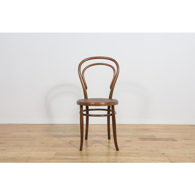 No. 14 Chairs by Michael Thonet for Josef Hoffmann, 1900s, Set of 4 For Sale - Image 9 of 18