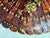 Art Nouveau Vintage Petite Tortoise Shell Fan For Sale - Image 3 of 11