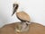 Midcentury Painted Concrete Pelican Sculpture on Base with Distressed Patina For Sale - Image 11 of 12