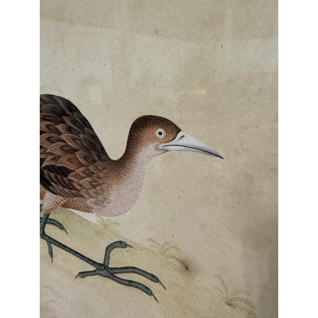 Chinese School Watercolor Of A Marsh Bird, Circa 1800 This finely observed Chinese School watercolor depicts a long-legged...