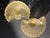 1950s 1950s Mid-Century Barovier & Toso Gold Fleck Scalloped Shell Bowls - a Pair For Sale - Image 5 of 13