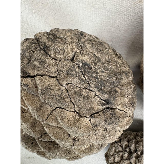 Greige Late 20th Century Concrete Pinecones - A Grouping of Three Garden Sculptures For Sale - Image 8 of 12