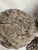 Greige Late 20th Century Concrete Pinecones - A Grouping of Three Garden Sculptures For Sale - Image 8 of 12