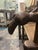 Pair Antique African Baule Chief Armchairs For Sale - Image 9 of 11