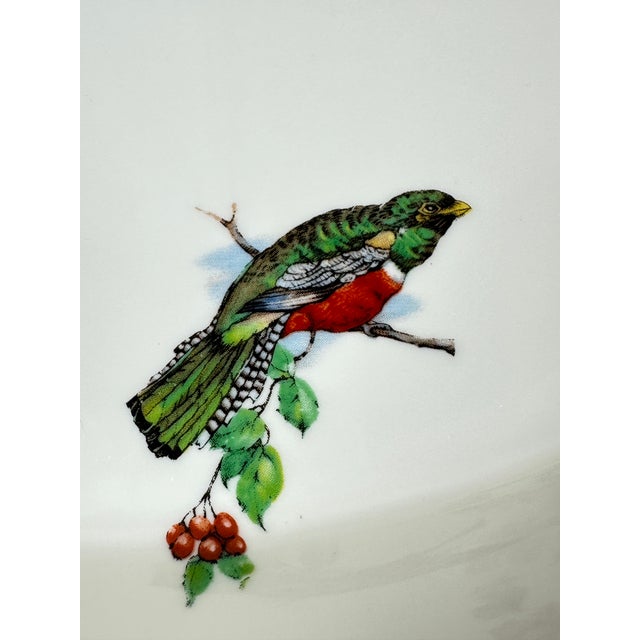 Vintage Exotic Birds Gratin Dish For Sale - Image 9 of 12