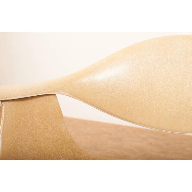 Beige DAF Chair in Fiberglass by George Nelson for Herman Miller, 1958 For Sale - Image 8 of 14