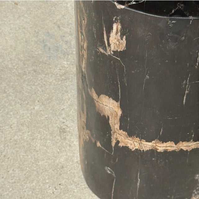 Stone Small Side Table in Black Petrified Wood with Striates and Beige Lower Side For Sale - Image 7 of 18