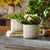 2020s Porcelain Geometric Patterned Planter (Set of 2) For Sale - Image 5 of 5