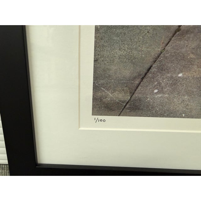 Paper Elsa Hahne Framed Mardi Gras Helen Gillet Photograph + Signed, Edition 1/100 For Sale - Image 7 of 12