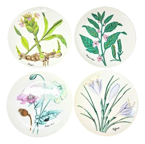Asian Botanical Plates- Set of Four