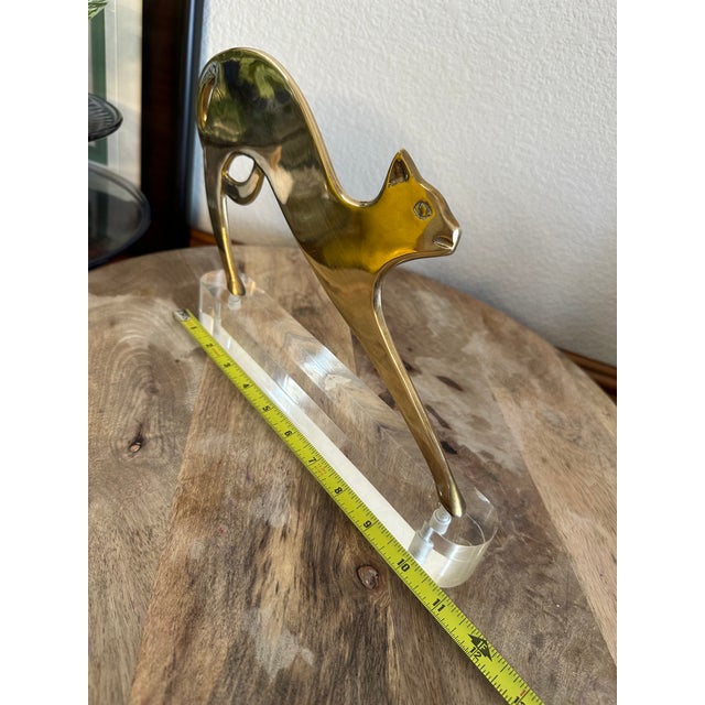 Early 20th Century Werkstätte Stretching Brass Cat on Clear Plinth Hagenauer Style For Sale - Image 13 of 17