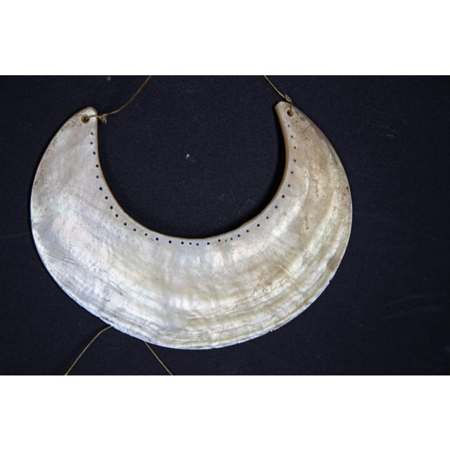 Antique Ethnic Tribal Kina Crescent Shell Necklaces Papua New Guinea Set of 3 For Sale - Image 12 of 12