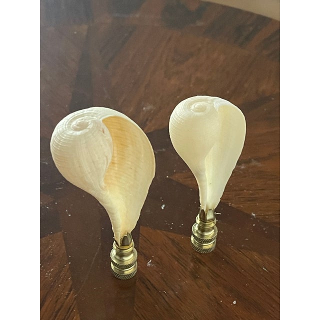 1970s 1970s Florida Sea Shells Lamp Finials - a Pair For Sale - Image 5 of 5