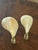1970s 1970s Florida Sea Shells Lamp Finials - a Pair For Sale - Image 5 of 5