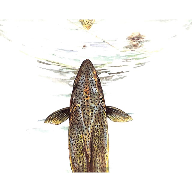 1980s "In Praise of Trout" 1989 Profumo, David, Robinson, Alan For Sale - Image 5 of 8
