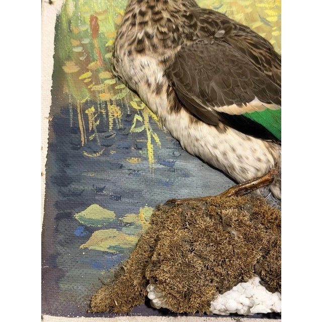 Half Duck, Gouache Painting For Sale - Image 7 of 13