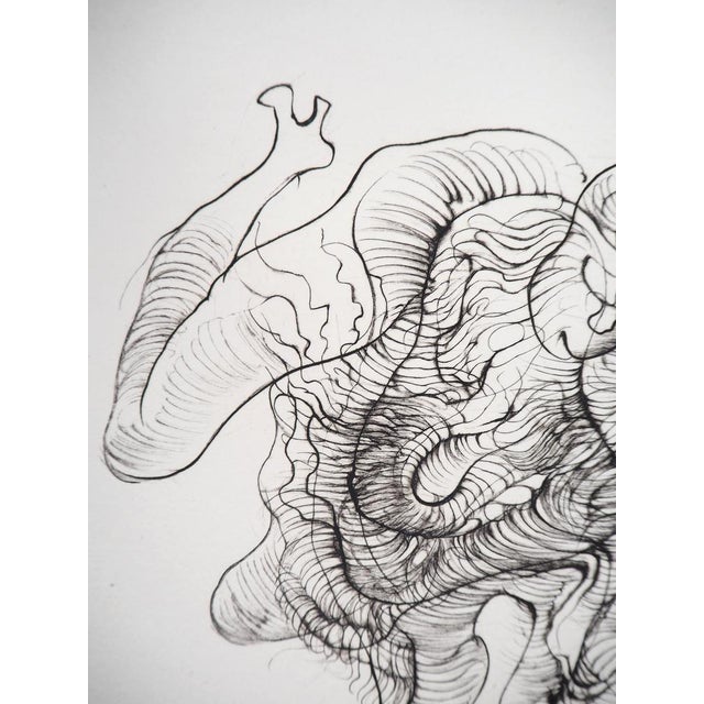 Hans Bellmer, Fantastic Creature, 20th Century, Original Etching For Sale - Image 6 of 7