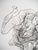 Hans Bellmer, Fantastic Creature, 20th Century, Original Etching For Sale - Image 6 of 7