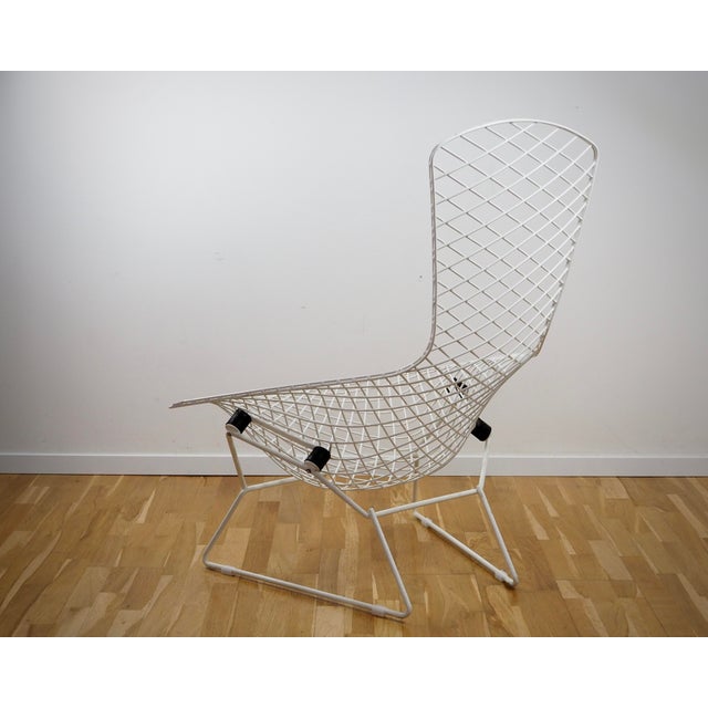 Mid-Century Modern Bird Chair by Harry Bertoia for Knoll International, 1980s For Sale - Image 3 of 11
