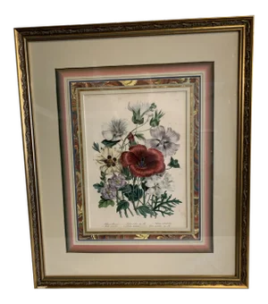 Mid 19th Century Lady Jane Loudon Hand Colored Botanical Print, Framed