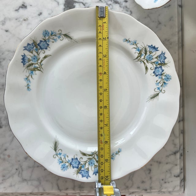 Karolina Porcelain Bluebell Floral Dinner Plate - Set of 10, Poland For Sale In New York - Image 6 of 8