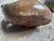 Brown Carved Stone Hippopotamus Group, Zimbabwe, Set of Three For Sale - Image 8 of 13