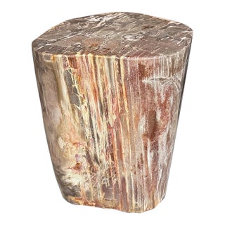Andrianna Shamaris Coral Toned High Quality Petrified Wood Side Table For Sale