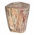 Andrianna Shamaris Coral Toned High Quality Petrified Wood Side Table For Sale