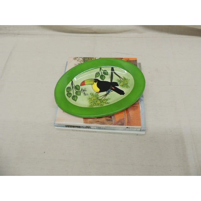 Ceramic Hand-Painted Decorative Plate Depicting a Tucan For Sale - Image 7 of 9