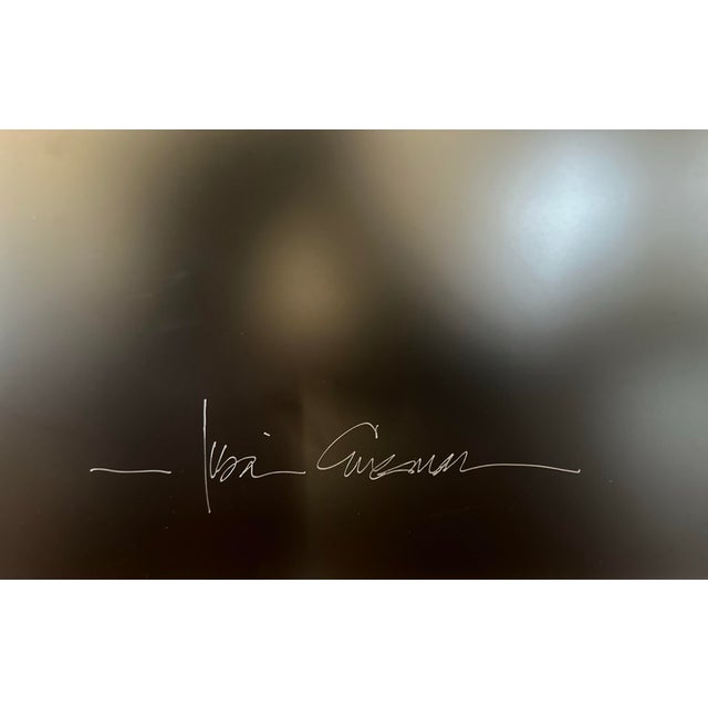 Wild Horse the Outer Banks, North Carolina Limit Edition of 5 Photographs Adhered to Plexiglass “Evening Grazer” by Award Winning Artist Lisa Cueman For Sale - Image 11 of 12