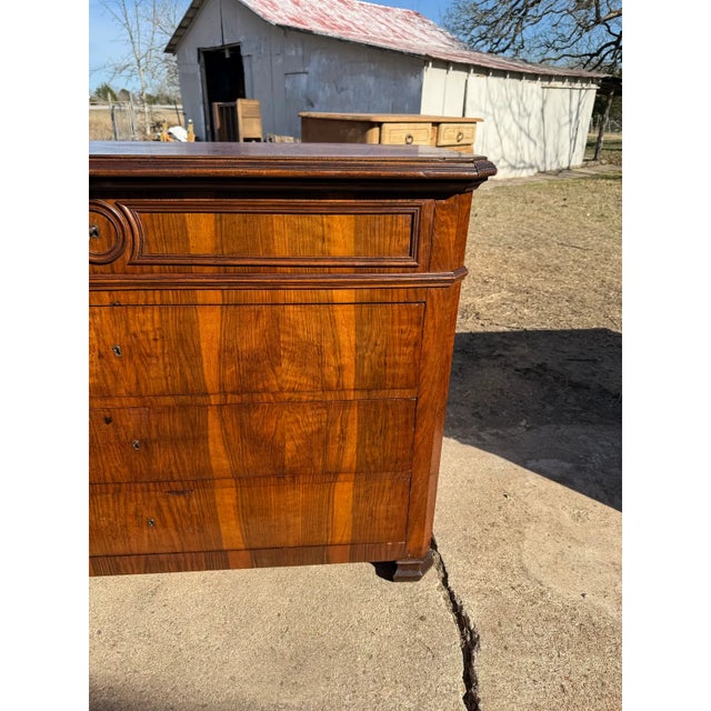 Louis Philippe 19th Century Louis Philippe Burl Walnut Chest of Drawer / Commodes For Sale - Image 4 of 11
