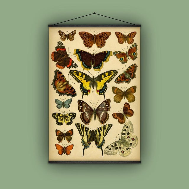 Realism Reproduction of Antique 'Butterfly' Wall Hanging For Sale - Image 3 of 8