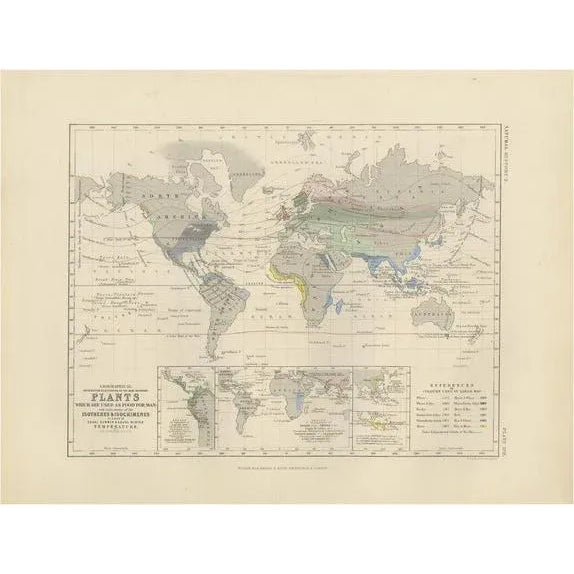 Paper Antique Map Showing the Distribution of Plants by Johnston 1850 For Sale - Image 7 of 7