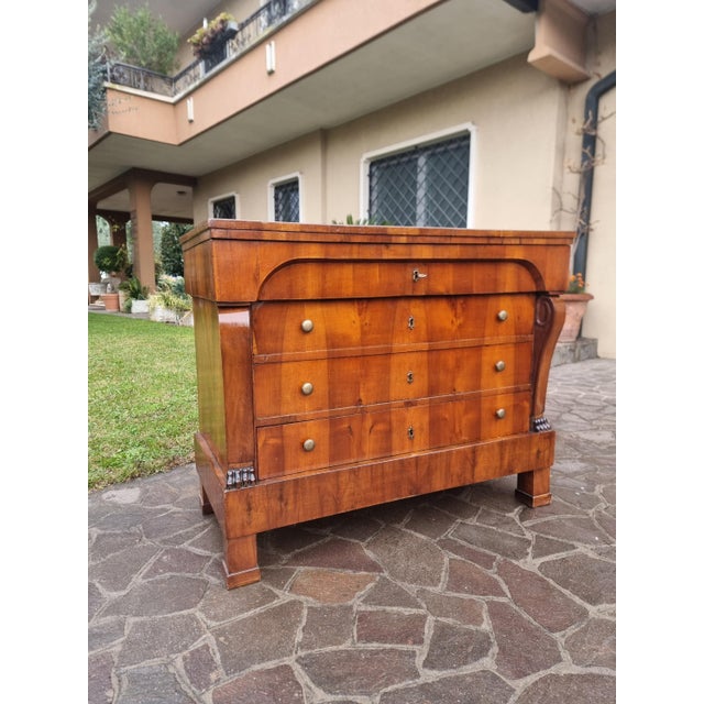 Wood Empire Chest of Drawers 1830 in Walnut Veneer For Sale - Image 7 of 14